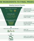 Standard Process Standardbar Gluten Free Protein Bar