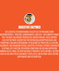 EPN Supplements Digestive Enzymes 5X 1 New Digestive Enzyme Supplement 60 Servings