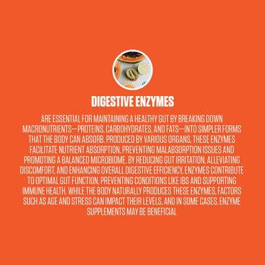 EPN Supplements Digestive Enzymes 5X 1 New Digestive Enzyme Supplement 60 Servings