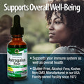 Nature'S Answer Astragalus Root 1 Ounces Each (Value Pack of 4)