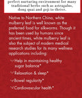 Bravo Tea Absolute White Mulberry Leaf Herbal Tea Caffeine Free, 20 Tea Bags
