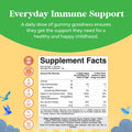 Organic Kids Immune Support Gummies - Vegan Organic Vitamin D Gummies For Kids With Vitamin C And Zinc For Kids Immunity - D3 Zinc And Vitamin C Gummies For Kids - Gluten & Non Gmo (120 Servings)