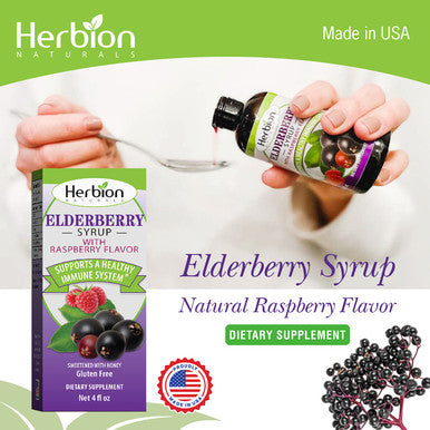 Herbion Naturals Elderberry Syrup Healthy Immune System for Adults Children 1 Year Honey sweetened with Natural Raspberry Flavor No Artificial Ingredients Made in USA 4 FL Oz
