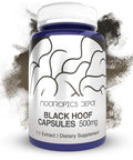 Black Hoof Mushroom Capsules | 500mg | 180 Count | Phellinus linteus