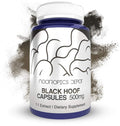 Black Hoof Mushroom Capsules | 500mg | 180 Count | Phellinus linteus