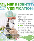 Nervosix B120 Alcohol-Free Extract Tincture, Liquid Drops: Passionflower Herb, Siberian Ginseng Root, Holy Basil Herb, Reishi Mushroom, Rhodiola Root, Schisandra Berry, Gotu Kola Herb. 4 Fl Oz