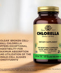 Solgar Chlorella - 100 Vegetable Capsules - Maximum Absorption - Non-Gmo Vegan Gluten Free Kosher - 100 Servings
