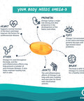 Omvits Vegan Omega 3 DHA from Algae Oil 1000mg - 60 Softgel Capsules with Vitamin E - Sustainable Algal Alternative to Fish Oil - Vegetarian Essential Fatty Acids - Supports Heart Brain & Eyes