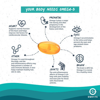 Omvits Vegan Omega 3 DHA from Algae Oil 1000mg - 60 Softgel Capsules with Vitamin E - Sustainable Algal Alternative to Fish Oil - Vegetarian Essential Fatty Acids - Supports Heart Brain & Eyes