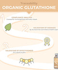 Laboratoires Nutrimea Glutathione - Reduced to 98% - Formula with Precursors Including NAC + Vitamin C - Boosts Immunity Antioxidant Anti-ageing Brighter Skin - 90 Vegan Capsules - Nutrimea - Made in France