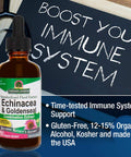 Nature'S Answer Echinacea & Goldenseal with Organic Alcohol 2-Fluid Ounces | Promotes Overall Wellness | Natural Immune Booster | Inflammatory Reducer