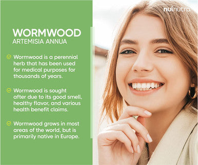 Nui Nutra Wormwood Supplement | 450mg | 100 Capsules | Immune & Digestive System Support | Powerful Antioxidant & Cleansing Properties | Gut & Liver Support