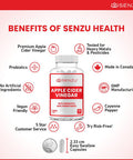 Apple Cider Vinegar Capsules with Prebiotics (1500 mg) - Antioxidant, Digestion, Fiber Supplement | Made in Canada