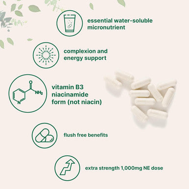 Micro Ingredients Vitamin B3 Niacinamide 500mg Per Capsule 400 Capsules | 1000mg Flush Niacin Per Serving Essential B Vitamin Supplement | Skin Care Health & Energy Support | Non-GMO Gluten