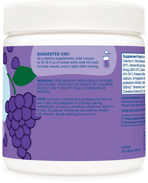 Wellah Splish Splash Hydration Electrolyte Drink Mix (Grape Flavored 30 Servings)