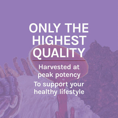 Host Defense Lion's Mane Extract 1oz