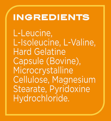 Bcaas 500 Ct