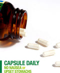 Whole Earth Sea from Natural Factors Vitamin D3 5000 IU 125 mcg Whole Food Supplement Vegan 60 Capsules 60 Servings