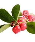 Natures Fusions Wintergreen 100% Pure and Essential Oil 15 Millirs