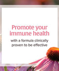 Natural Factors Echinamide Echinacea Supplement for Immune and Wellness Support 60 Softgels