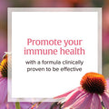 Natural Factors Echinamide Echinacea Supplement for Immune and Wellness Support 60 Softgels