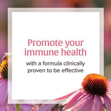 Natural Factors Echinamide Echinacea Supplement for Immune and Wellness Support 60 Softgels