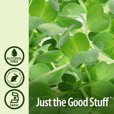 Nature'S Answer Alcohol- Alfalfa Herb Extract 1-Fluid Ounce Supports Immune System Blood Digestion Energy Levels - Helps with Detoxification