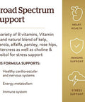 Solgar B-Complex With Vitamin C Stress Formula, 250 Tablets - Energy Metabolism, Nervous System & Immune Support - Non-Gmo, Vegan, Gluten Free, Dairy Free, Kosher, Halal - 125 Servings