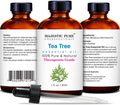 MAJESTIC PURE Tea Tree Essential Oil - Pure, Natural and Therapeutic Grade - Tea Tree Oil for Skin, Face, Hair, Nails, Acne, Scalp, Massage, Aromatherapy, Diffuser, Topical & Household Uses - 1 fl oz