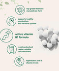 Micro Ingredients Vitamin B1 500mg Per Serving 240 Tablets | Vitamin B1 Thiamine Supplement Essential B Vitamins | Supports Metabolism & Healthy Nervous System | Non-GMO Easy to Swallow