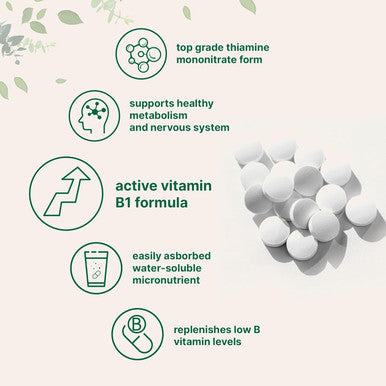 Micro Ingredients Vitamin B1 500mg Per Serving 240 Tablets | Vitamin B1 Thiamine Supplement Essential B Vitamins | Supports Metabolism & Healthy Nervous System | Non-GMO Easy to Swallow