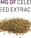 Celery Seed Extract by Natural Factors Herbal Supplement for a Healthy Circulatory System 120 Capsules