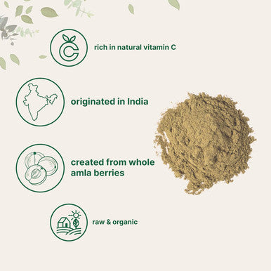 Micro Ingredients Organic Amla Powder (Amalaki) | 32oz India Origin Gooseberry Powder | Rich in Vitamin C Antioxidants Supports Immune Digestive & Skin Health Non-GMO Vegan & Keto Friendly