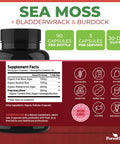 ForestLeaf Organic Irish Sea Moss Capsules | 2100mg Raw Seamoss Pills Advanced Supplement Superfood + Burdock, Bladderwrack for Digestive, Respiratory, Immune Health | 90 Vegan Organic Sea Moss Caps