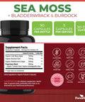 Forestleaf Organic Irish Sea Moss Capsules 2100Mg Raw Seamoss Pills Advanced Supplement Superfood Burdock Bladderwrack For Digestive Respiratory Immune Health 90 Vegan Organic Sea Moss Caps