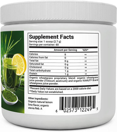 Dr. Berg's Raw Wheatgrass Juice Powder (60 Servings) - USDA Organic Wheatgrass Powder w/ Chlorophyll, Trace Minerals & Natural Enzymes - Ultra-Concentrated - Lemon Flavor w/ Stevia 1 Pack