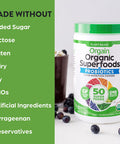 Orgain Organic Green Superfoods Powder Original Antioxidants 1 Billion Probiotics Vegan Dairy Gluten Kosher NonGMO 0.62 Pound Packaging May Vary