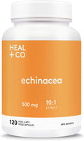HEAL + CO. Echinacea | High Potency 10:1 Extract, 5000 mg per serving | Immune Support | 120 x 500 mg Capsules