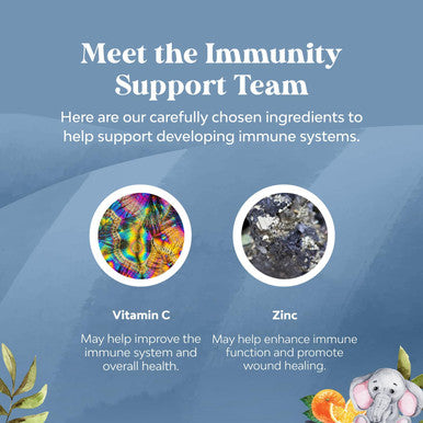 Natures Craft Kids Immunity Support Gummies - Delicious Vitamin C with Zinc and Echinacea Immune Booster Gummies for Kids - Vegan Gluten and Gelatin Chewable Gummy Vitamin Supplement for Children