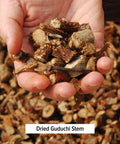Banyan Botanicals Guduchi Stem Powder - Usda Organic, Spice Jar - Rejuvenating Herb For Digestion, Complexion, And Vitality*