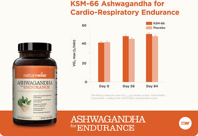 NatureWise Ashwagandha for Endurance Adaptogen Adrenal Support Supplement with KSM66 Vitamins Ginseng Green Tea Extract Packaging May Vary Light Brown 60 Count