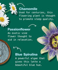 Kuli Kuli Vanilla Lavender Superfood Latte - Magnesium - Vegan & Organic Sleep Support with Chamomile Passionflower and Lavender - Plant-Based Drink