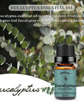 Yethious Eucalyptus Essential Oil 100% Pure Natural Organic Aromatherapy Oil 10ml for Massage,Skin Care,Diffuser,Humidifier