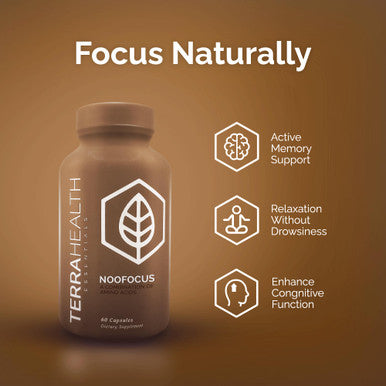 Terra Health Essentials Noofocus - Nootropics Brain Support Supplement With Adaptogenic Mushrooms, Alpha-Gpc, Gotu Kola, L-Theani