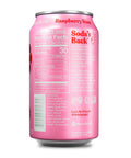 Poppi Sparkling Prebiotic Soda Beverage with Apple Cider Vinegar Seltzer Water and Fruit Juice Raspberry Rose Flavor 12 oz Pack of 12