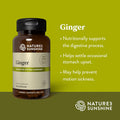 Nature'S Sunshine Ginger 100 Capsules