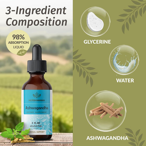 Herbamama Ashwagandha Liquid Drops - Vegan Ashwagandha Root Extract For Calm & Mood Support - Non-Gmo Alcohol & Sugar- Calming Supplement For Adults 28-Day Supply