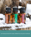 Nature s Fusions Nutmeg 100% Pure and Essential Oils 15 mL