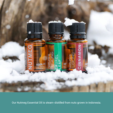Nature s Fusions Nutmeg 100% Pure and Essential Oils 15 mL