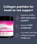 Neocell Super Collagen Plus With Vitamin C And Hyaluronic Acid For Skin Hydration And Healthy Skin Hair And Nails Support Unflavored Collagen Powder 6.9 Ounce (Pack Of 1)